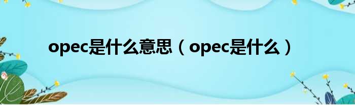 opec是甚么意思（opec是甚么）