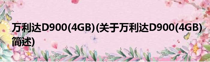 万利达D900(4GB)(对于万利达D900(4GB)简述)