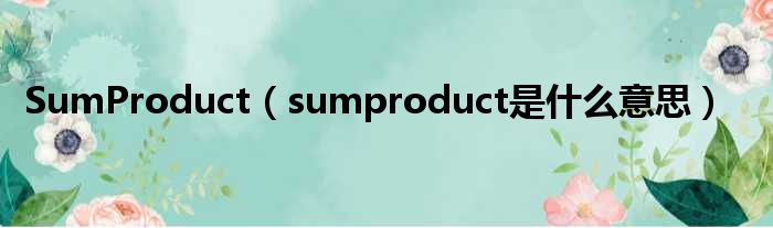SumProduct（sumproduct是甚么意思）