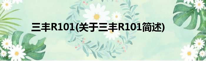 三丰R101(对于三丰R101简述)