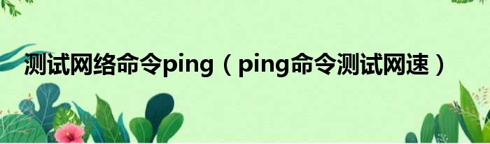 测试收集命令ping（ping命令测试网速）