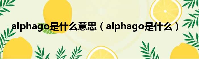 alphago是甚么意思（alphago是甚么）