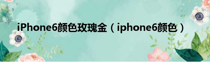 iPhone6颜色玫瑰金（iphone6颜色）