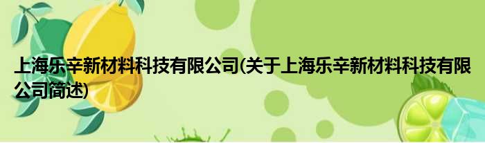 上海乐辛新质料科技有限公司(对于上海乐辛新质料科技有限公司简述)