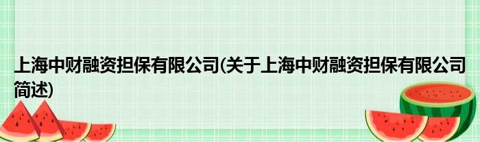 上海中财融资保障有限公司(对于上海中财融资保障有限公司简述)
