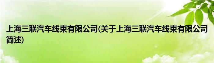 上海三联汽车线束有限公司(对于上海三联汽车线束有限公司简述)