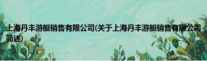 上海丹丰游艇销售有限公司(对于上海丹丰游艇销售有限公司简述)
