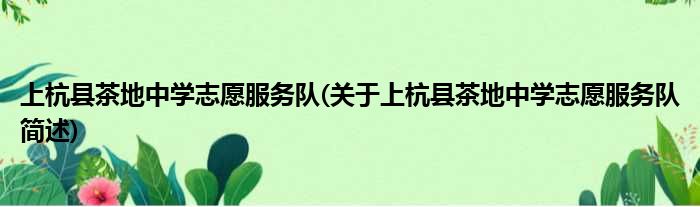 上杭县茶地中学被迫效率队(对于上杭县茶地中学被迫效率队简述)