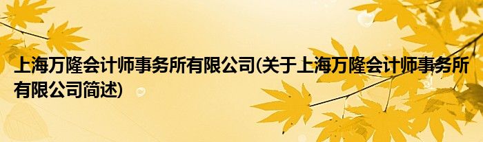 上海万隆会计师事件所有限公司(对于上海万隆会计师事件所有限公司简述)