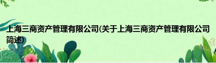 上海三商资产规画有限公司(对于上海三商资产规画有限公司简述)