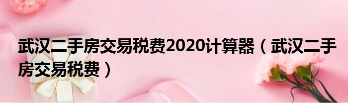 武汉二手房生意税费2020合计器（武汉二手房生意税费）