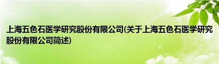 上海五色石医学钻研股份有限公司(对于上海五色石医学钻研股份有限公司简述)