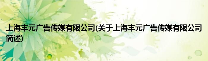 上海丰元广告传媒有限公司(对于上海丰元广告传媒有限公司简述)