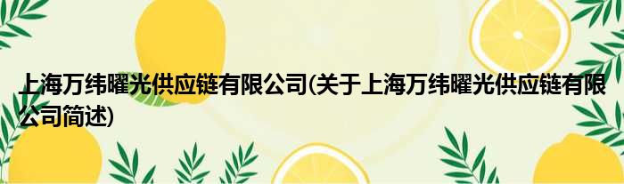 上海万纬曜光提供链有限公司(对于上海万纬曜光提供链有限公司简述)