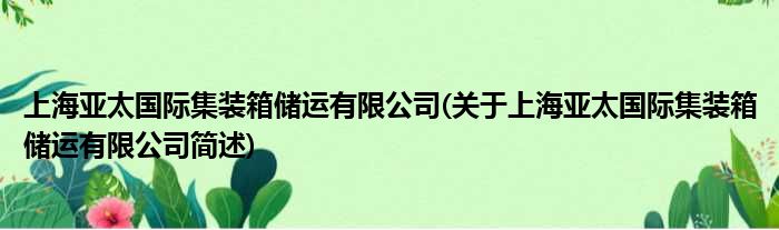 上海亚太国内集装箱储运有限公司(对于上海亚太国内集装箱储运有限公司简述)