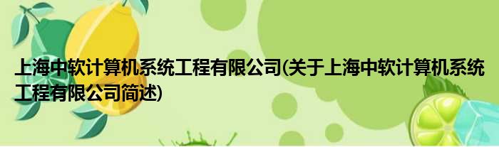 上海中软合计机零星工程有限公司(对于上海中软合计机零星工程有限公司简述)
