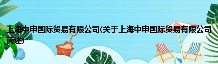 上海中申国内商业有限公司(对于上海中申国内商业有限公司简述)