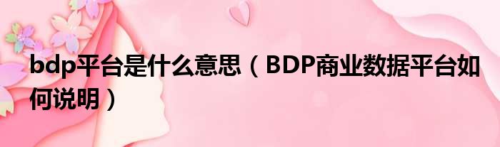 bdp平台是甚么意思（BDP商业数据平台若何剖析）