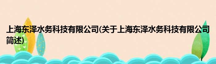 上海东泽水务科技有限公司(对于上海东泽水务科技有限公司简述)
