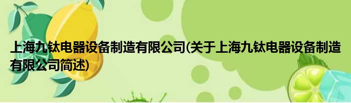 上海九钛电器配置装备部署制作有限公司(对于上海九钛电器配置装备部署制作有限公司简述)