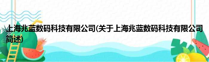 上海兆蓝数码科技有限公司(对于上海兆蓝数码科技有限公司简述)