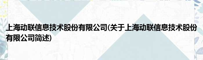 上海动联信息技术股份有限公司(对于上海动联信息技术股份有限公司简述)