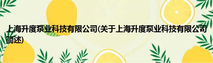 上海升度泵业科技有限公司(对于上海升度泵业科技有限公司简述)