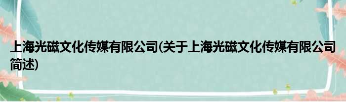 上海光磁横蛮传媒有限公司(对于上海光磁横蛮传媒有限公司简述)