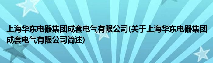 上海华东电器总体成套电气有限公司(对于上海华东电器总体成套电气有限公司简述)