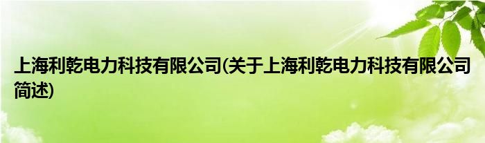 上海利乾电力科技有限公司(对于上海利乾电力科技有限公司简述)