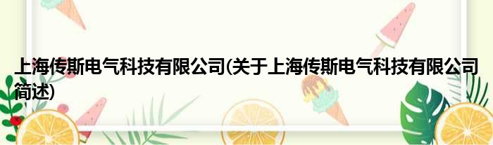 上海传斯电气科技有限公司(对于上海传斯电气科技有限公司简述)