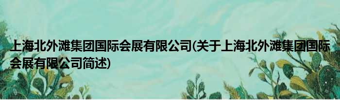 上海北外滩总体国内会展有限公司(对于上海北外滩总体国内会展有限公司简述)