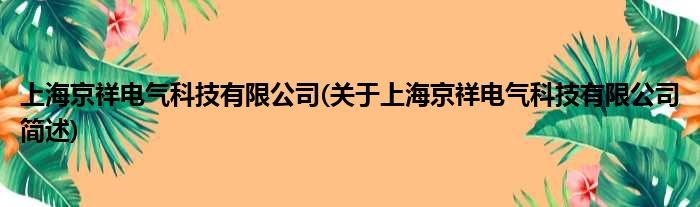 上海京祥电气科技有限公司(对于上海京祥电气科技有限公司简述)
