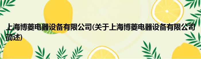 上海博菱电器配置装备部署有限公司(对于上海博菱电器配置装备部署有限公司简述)