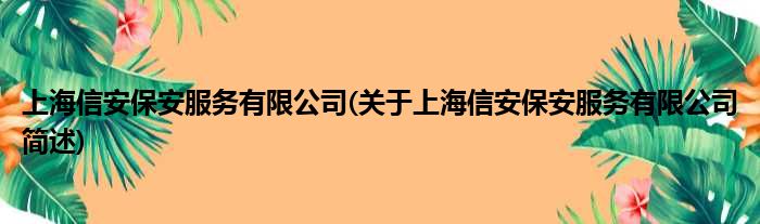 上海信安保安效率有限公司(对于上海信安保安效率有限公司简述)