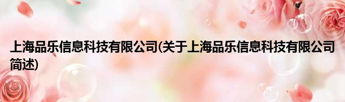 上海品乐信息科技有限公司(对于上海品乐信息科技有限公司简述)