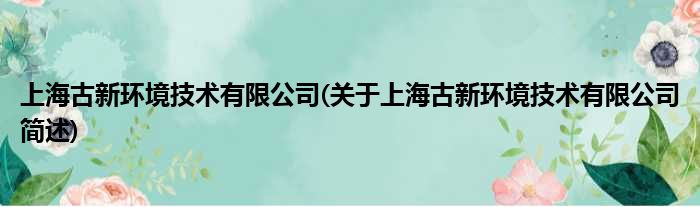 上海古新情景技术有限公司(对于上海古新情景技术有限公司简述)