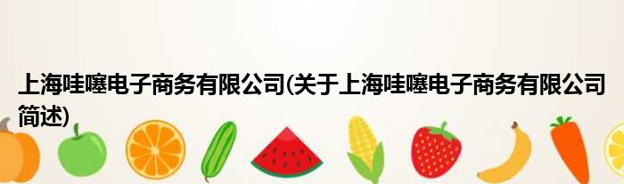 上海哇噻电子商务有限公司(对于上海哇噻电子商务有限公司简述)