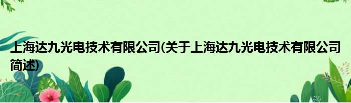 上海达九光电技术有限公司(对于上海达九光电技术有限公司简述)