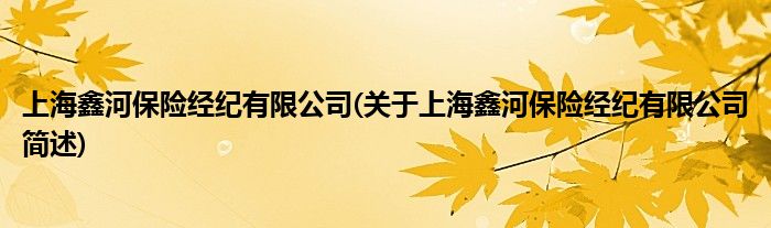 上海鑫河保险掮客有限公司(对于上海鑫河保险掮客有限公司简述)