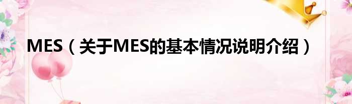 MES（对于MES的根基情景剖析介绍）
