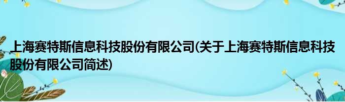 上海赛特斯信息科技股份有限公司(对于上海赛特斯信息科技股份有限公司简述)