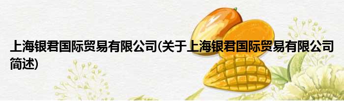 上海银君国内商业有限公司(对于上海银君国内商业有限公司简述)