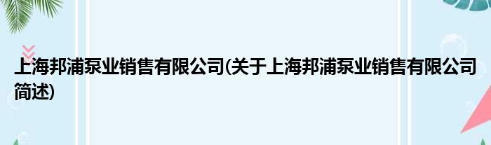 上海邦浦泵业销售有限公司(对于上海邦浦泵业销售有限公司简述)