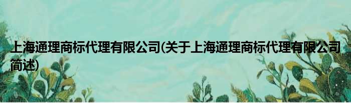 上海通理牌号署理有限公司(对于上海通理牌号署理有限公司简述)