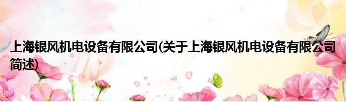 上海银风机电配置装备部署有限公司(对于上海银风机电配置装备部署有限公司简述)