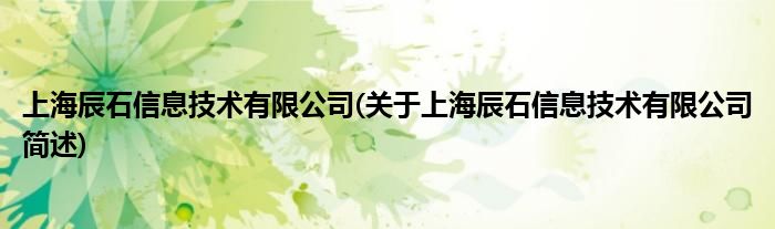上海辰石信息技术有限公司(对于上海辰石信息技术有限公司简述)
