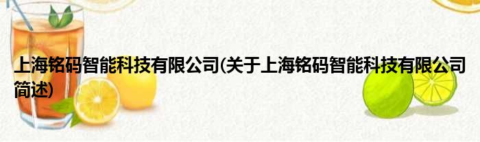 上海铭码智能科技有限公司(对于上海铭码智能科技有限公司简述)