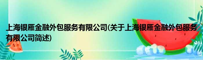 上海银雁金融外包效率有限公司(对于上海银雁金融外包效率有限公司简述)