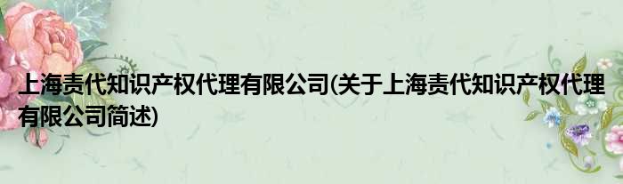 上海责代知识产权署理有限公司(对于上海责代知识产权署理有限公司简述)